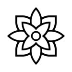 Mindful and Modern
