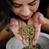 OrasAmazing Herbal