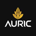 TheAuricStore