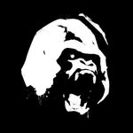 BlackMarketLabs