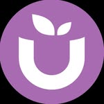 Ube Superfood