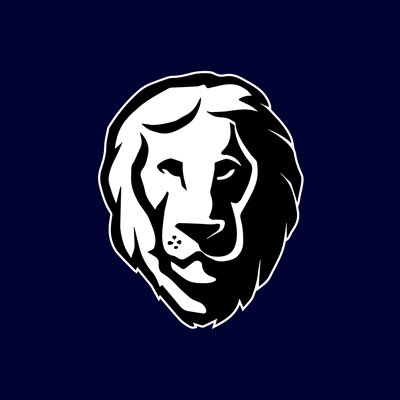 Aslan Mattress